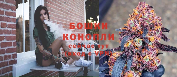 крисы Киренск