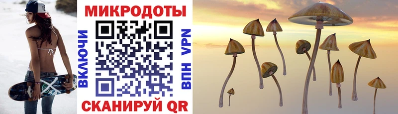Псилоцибиновые грибы Cubensis  Купить где  Белоозёрский 